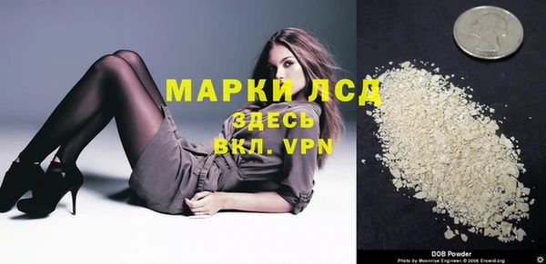 молекула духа Каменск-Шахтинский