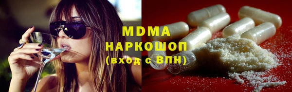 мдпв Инсар