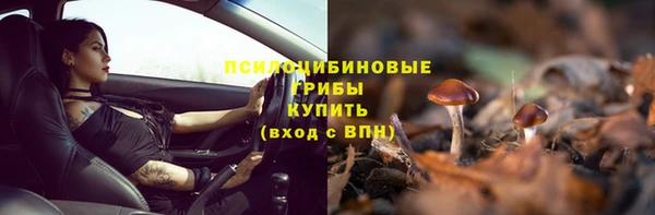 не бодяженный Каменка