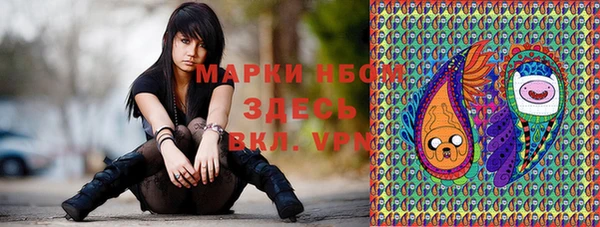 молекула духа Каменск-Шахтинский