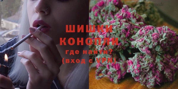 ешки Каменногорск