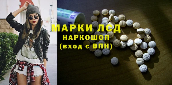 мдпв Инсар