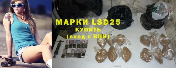 мдпв Инсар