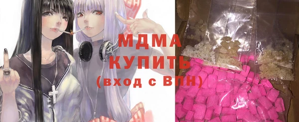 мдпв Инсар